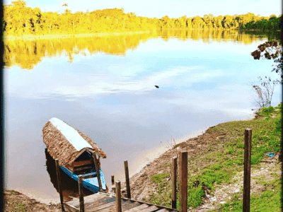 Ayahuasca Foundation