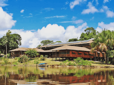 Ayahuasca Foundation