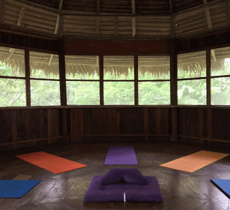 Lighthouse retreat yoga space with wooden interior and large windows overlooking lush greenery.