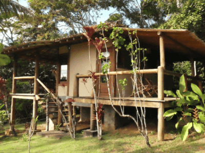 Spirit Vine Ayahuasca Retreat Center