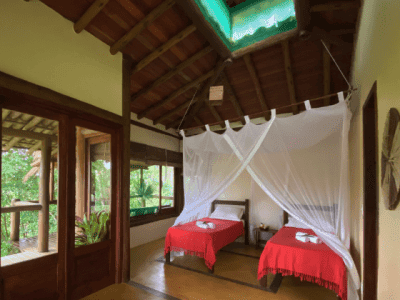 Spirit Vine Ayahuasca Retreat Center