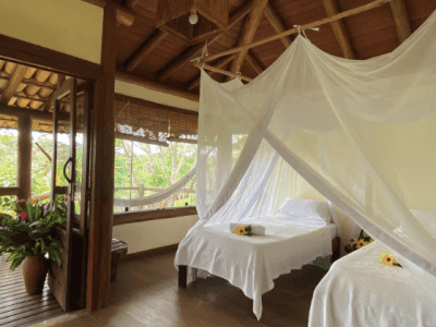 Spirit Vine Ayahuasca Retreat Center