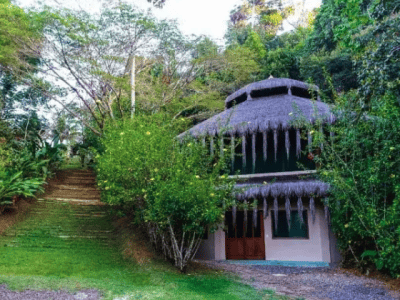 Spirit Vine Ayahuasca Retreat Center