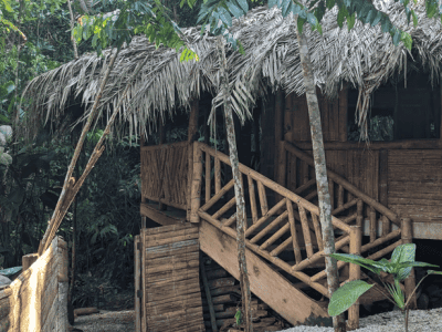 Mundo Profundo Ayahuasca Retreats