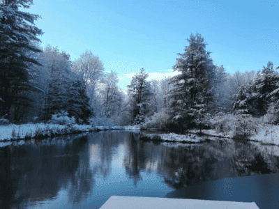 Maharani Medicine Circles