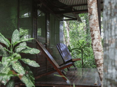 Nimea Kaya Healing Center