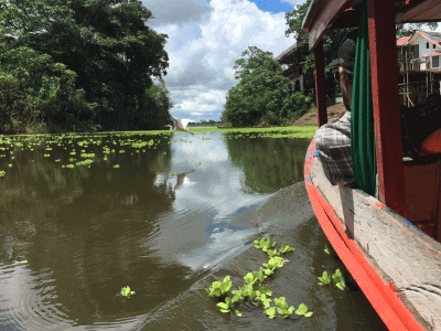 Nimea Kaya Healing Center