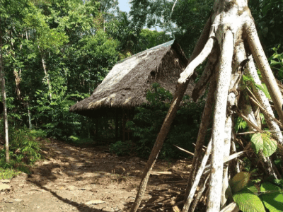 Home of Ayahuasca