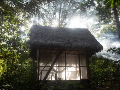 Psychonauta Foundation