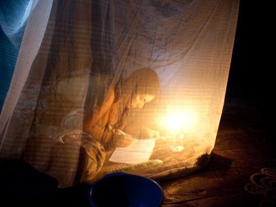 Psychonauta Foundation