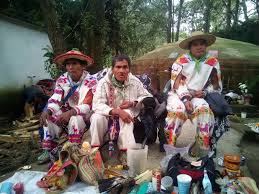 Spirit of the Blue Deer