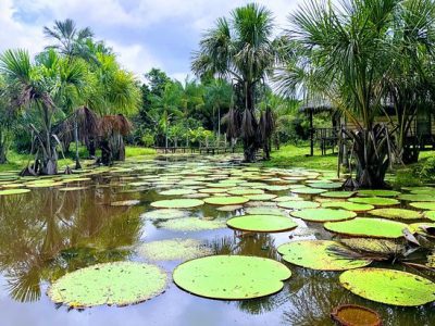 Kawsay Ayahuasca Retreat