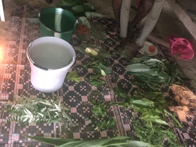 Discover Iboga Church of America