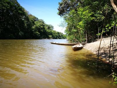 Kawsay Ayahuasca Retreat