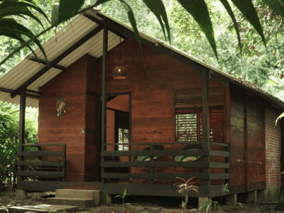 Maha Devi Ayahuasca Retreats