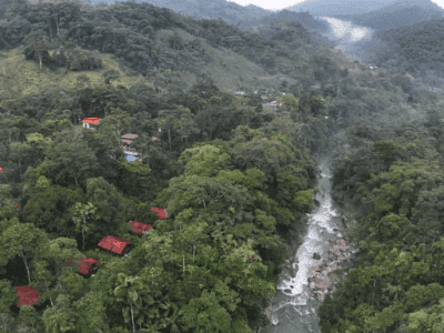 Maha Devi Ayahuasca Retreats