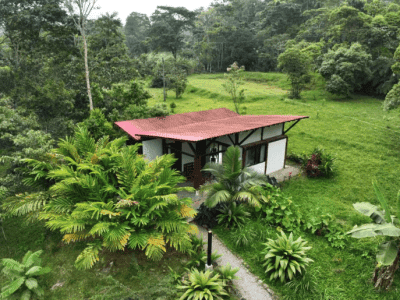 Maha Devi Ayahuasca Retreats