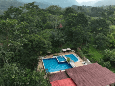 Maha Devi Ayahuasca Retreats