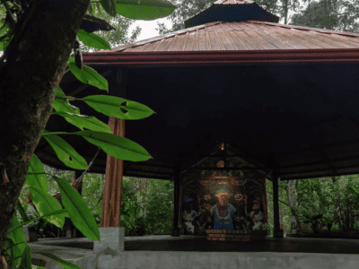 Maha Devi Ayahuasca Retreats