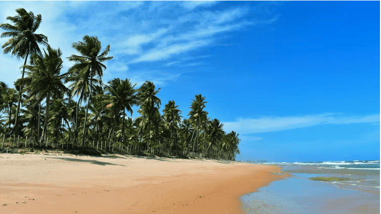 Pousada Rancho Fundo