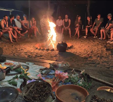 Movement Music Medicina