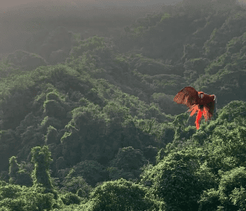 Sierra Ancestral Resort