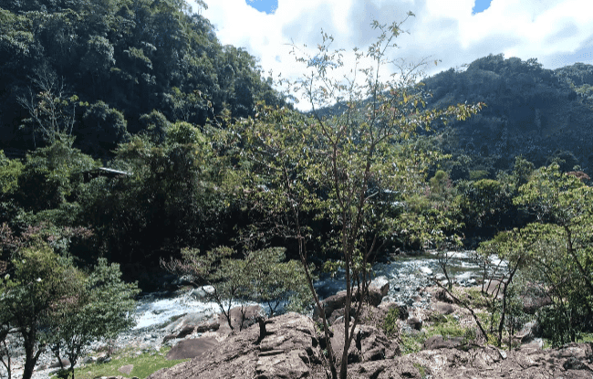 Heaven and Earth Sanctuary