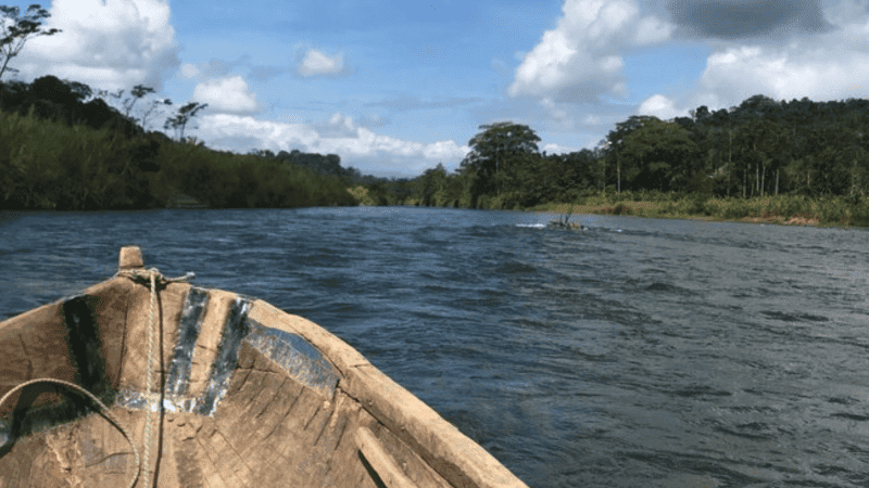 Serene river view with lush greenery and blue skies, perfect for spiritual awakening retreats.