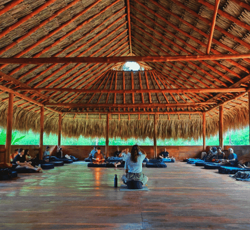 Participants meditating in a traditional open-air Ayahuasca ceremony hut at Lawayra Retreat.