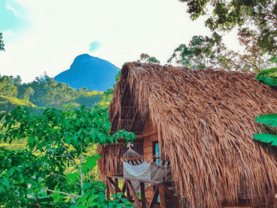 Lawayra Ayahuasca Retreat