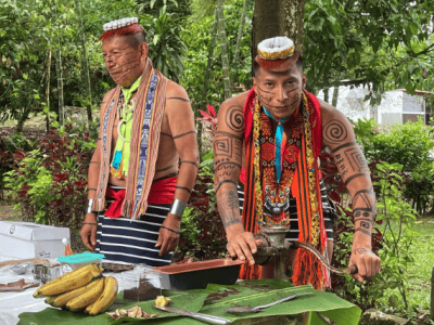 Awakenings Ayahuasca Retreat