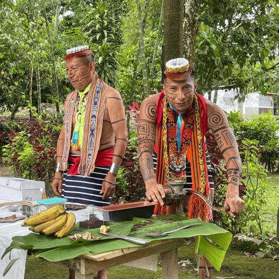 Awakenings Ayahuasca Retreat