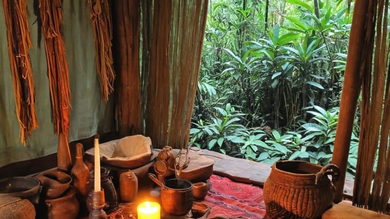 Ayahuasca traditional use for spiritual healing and guidance in indigenous ceremonies.