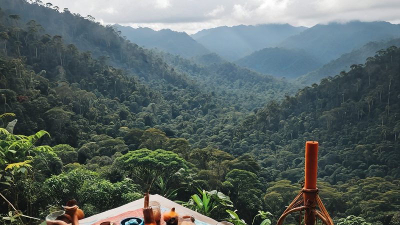 Ayahuasca retreat setup overlooking lush rainforest mountains for spiritual healing and therapy.