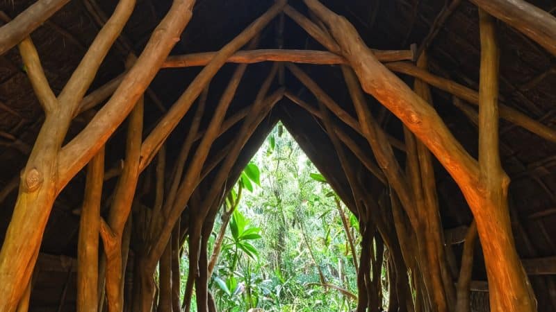 Peaceful jungle retreat with natural wooden structure and fire pit, ideal for relaxation and spiritu.