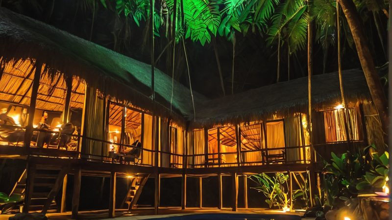 Secluded jungle retreat featuring a pool, fire pits, and lush greenery, perfect for relaxation and s.