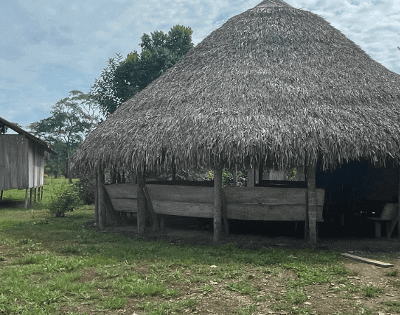 Thatched hut in a lush green environment, perfect for retreats and eco-friendly accommodations.