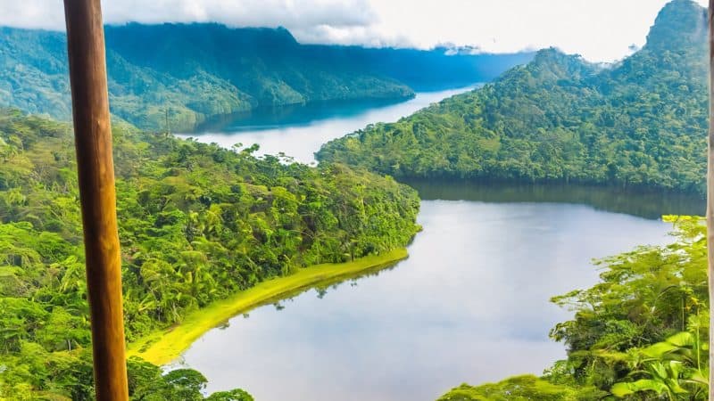 Beautiful jungle retreat with panoramic river views and lush greenery. Perfect for relaxation and sp.