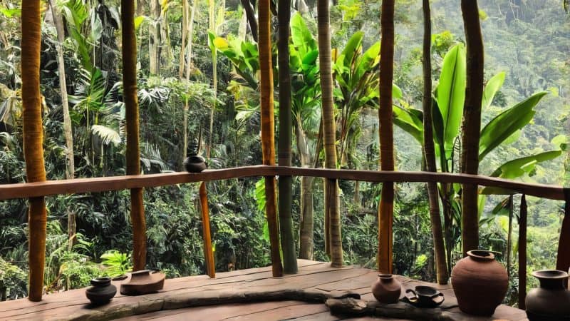 Serene jungle retreat space for mental health and healing with natural surroundings.