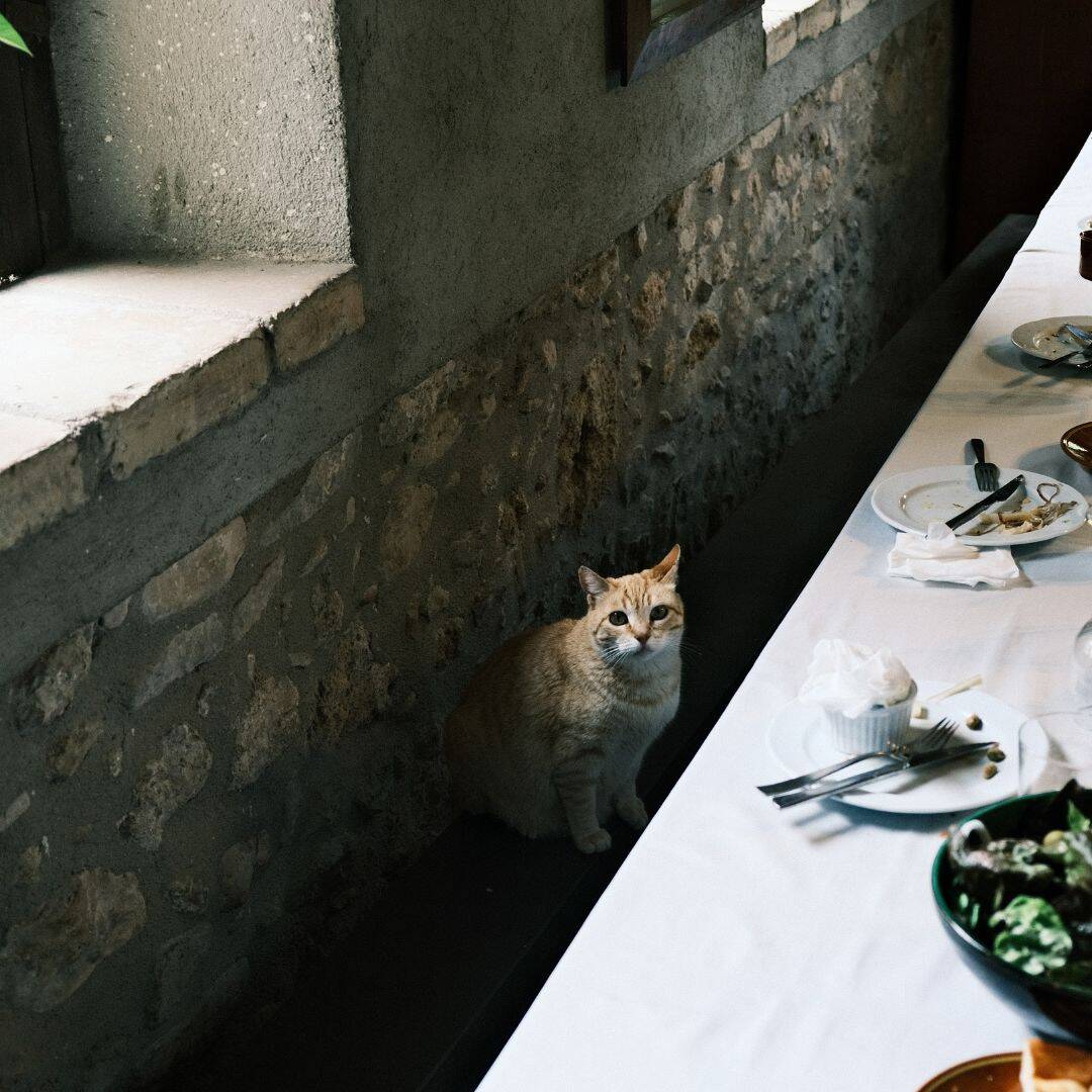 Catalunya Traverse | 11 - 16 May, 2026 - Image 11