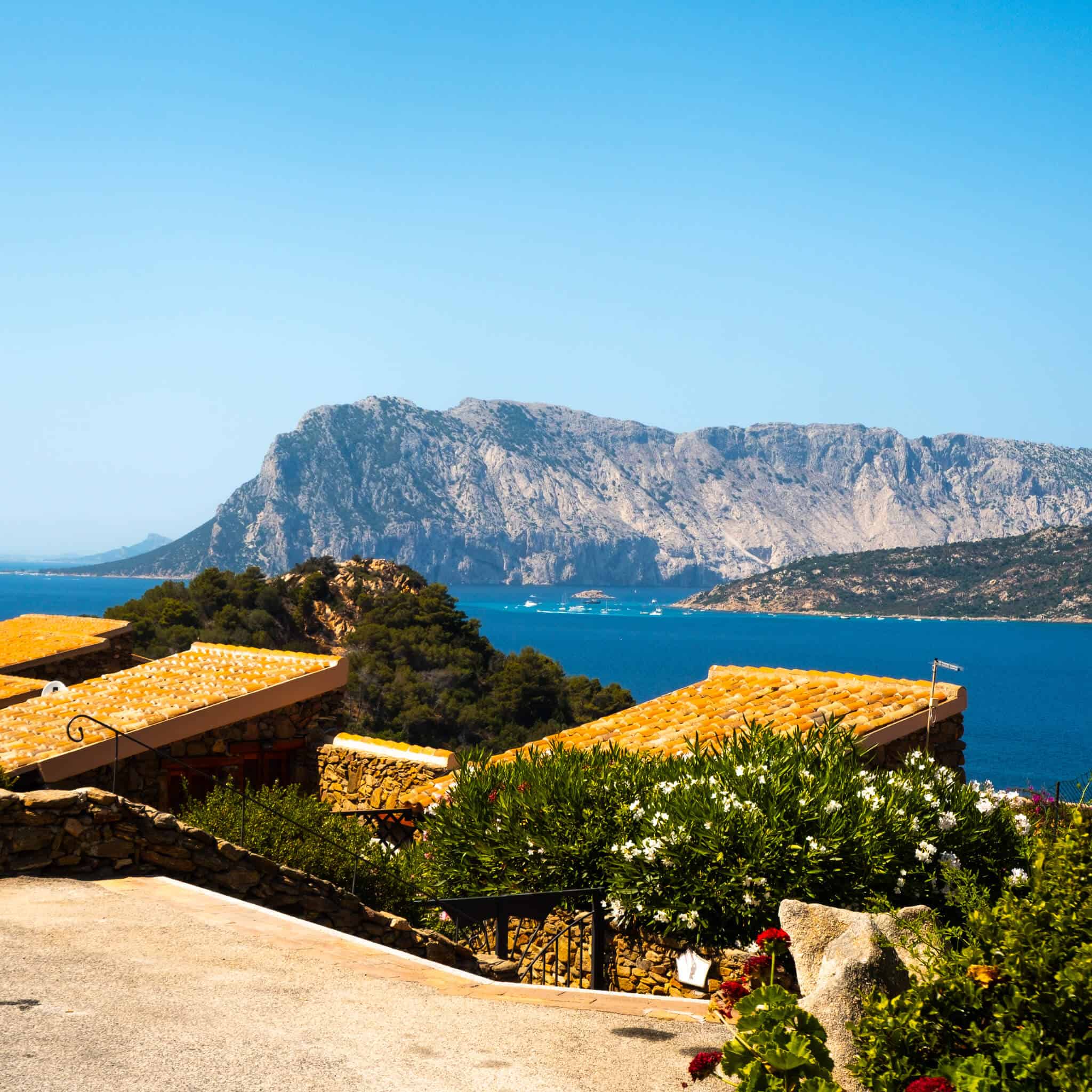 The Sardinian Scramble | 26 September - 3 October, 2026 - Image 21