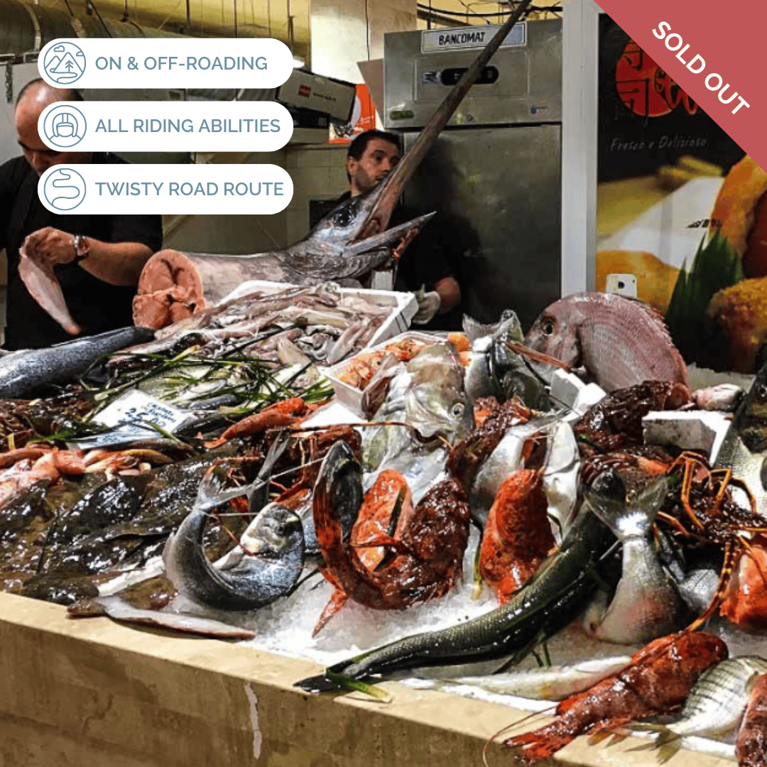 Homepage Carousel_TEST ONLY_2