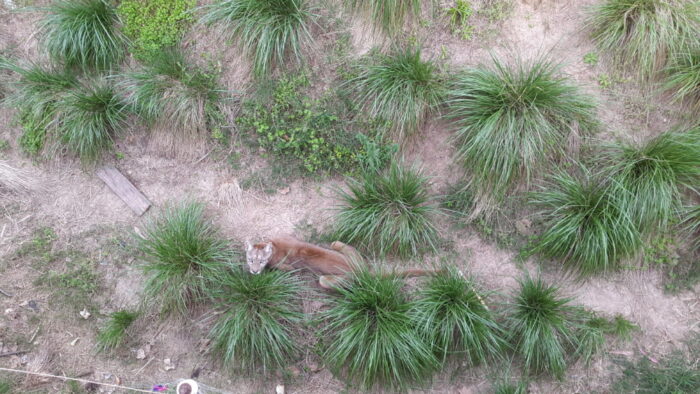 La Plata, Argentina, Zoo