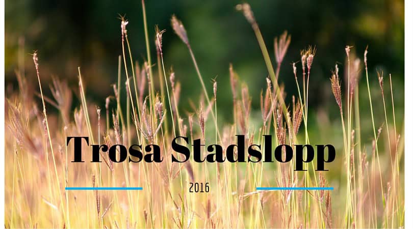 Trosa stadslopp