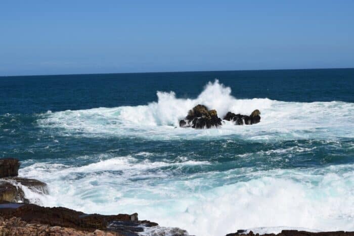 Whale Watching, Hermanus, South Africa