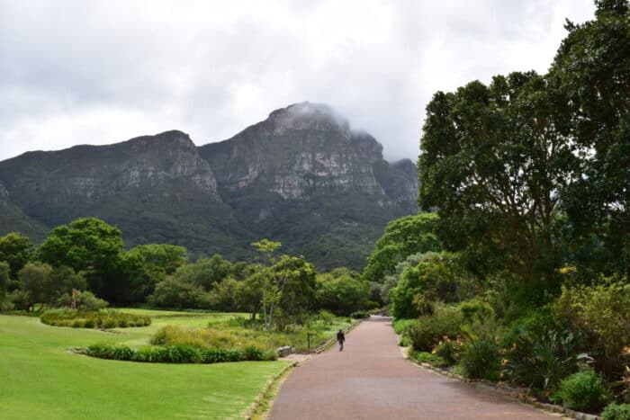 Kaapstad, Suid-Afrika, Nasionale Botaniese Tuine, Kirstenbosch Botanical Garden, Cape Town, South Africa