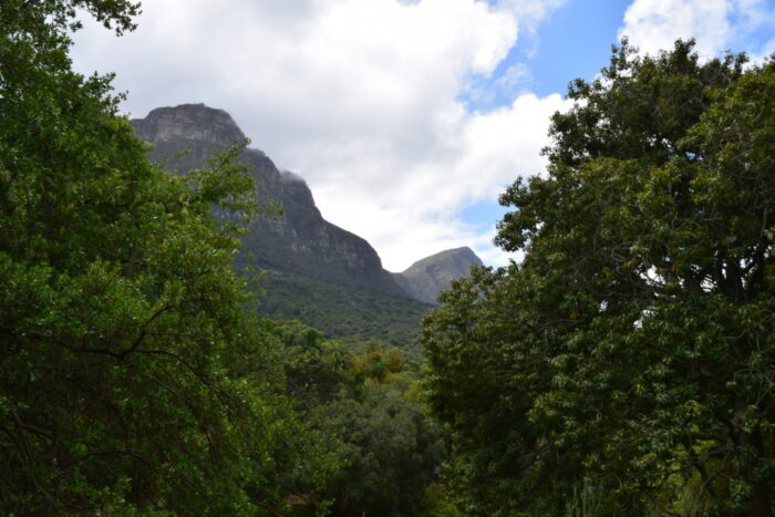 Kirstenbosch botaniska trädgård, Kapstaden, Sydafrika, Taffelberget