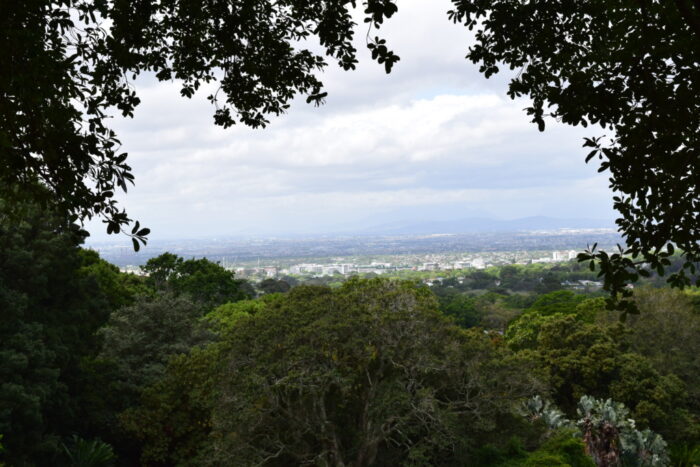 Jardin botanique national Kirstenbosch, Le Cap, Afrique du Sud, Montagne de la Table