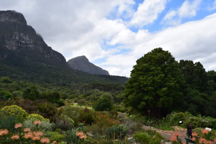 Kirstenbosch Botanical Garden, Cape Town, South Africa