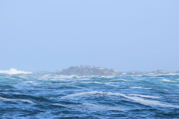 Seal Island, Mariners Wharf, Hout Bay, Cape Town, South Africa